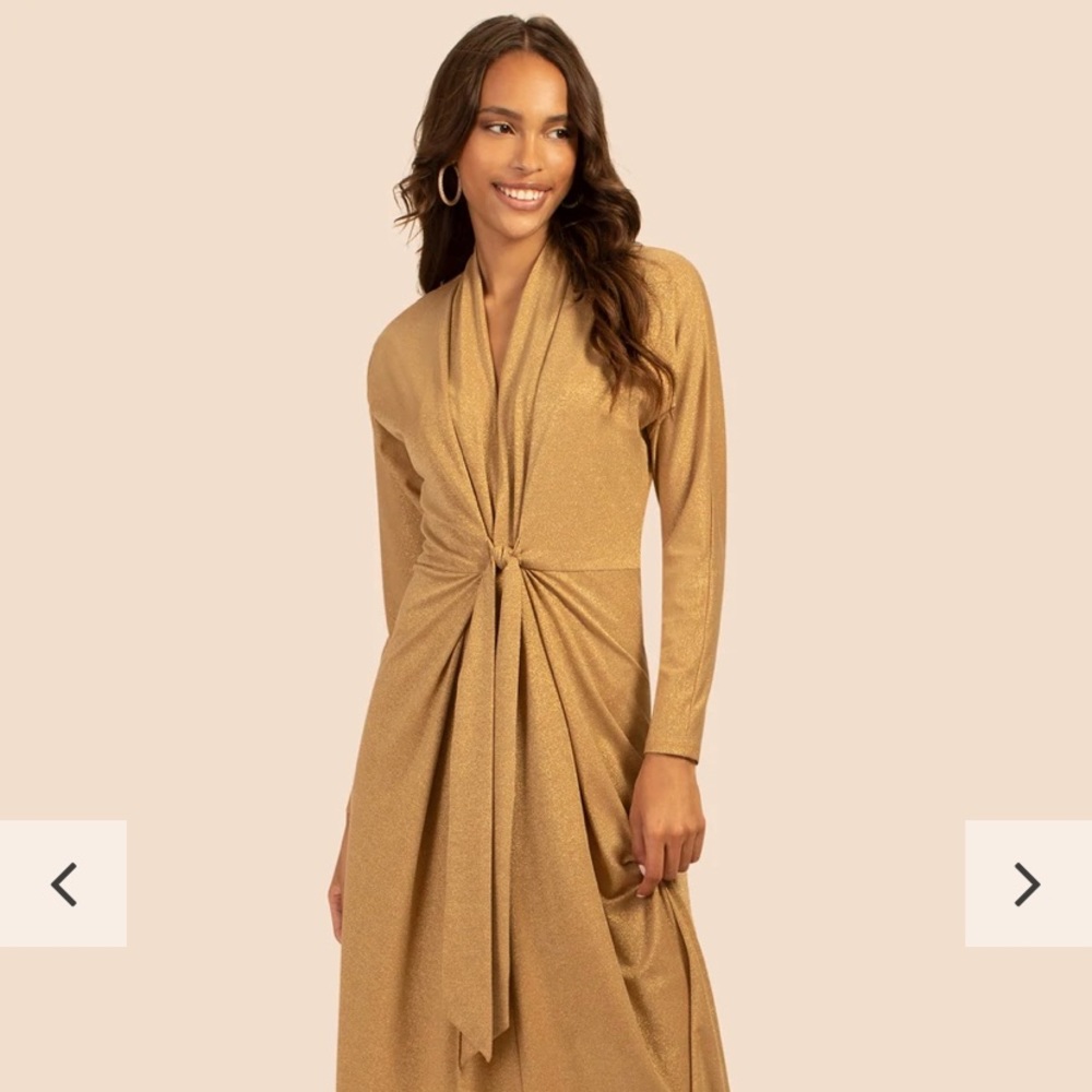 NWT Trina Turk Taboo Maxi Dress Gold
